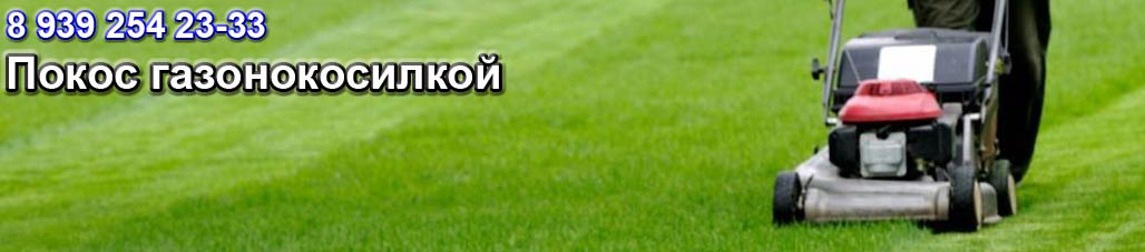 Покос газонокосилкой
